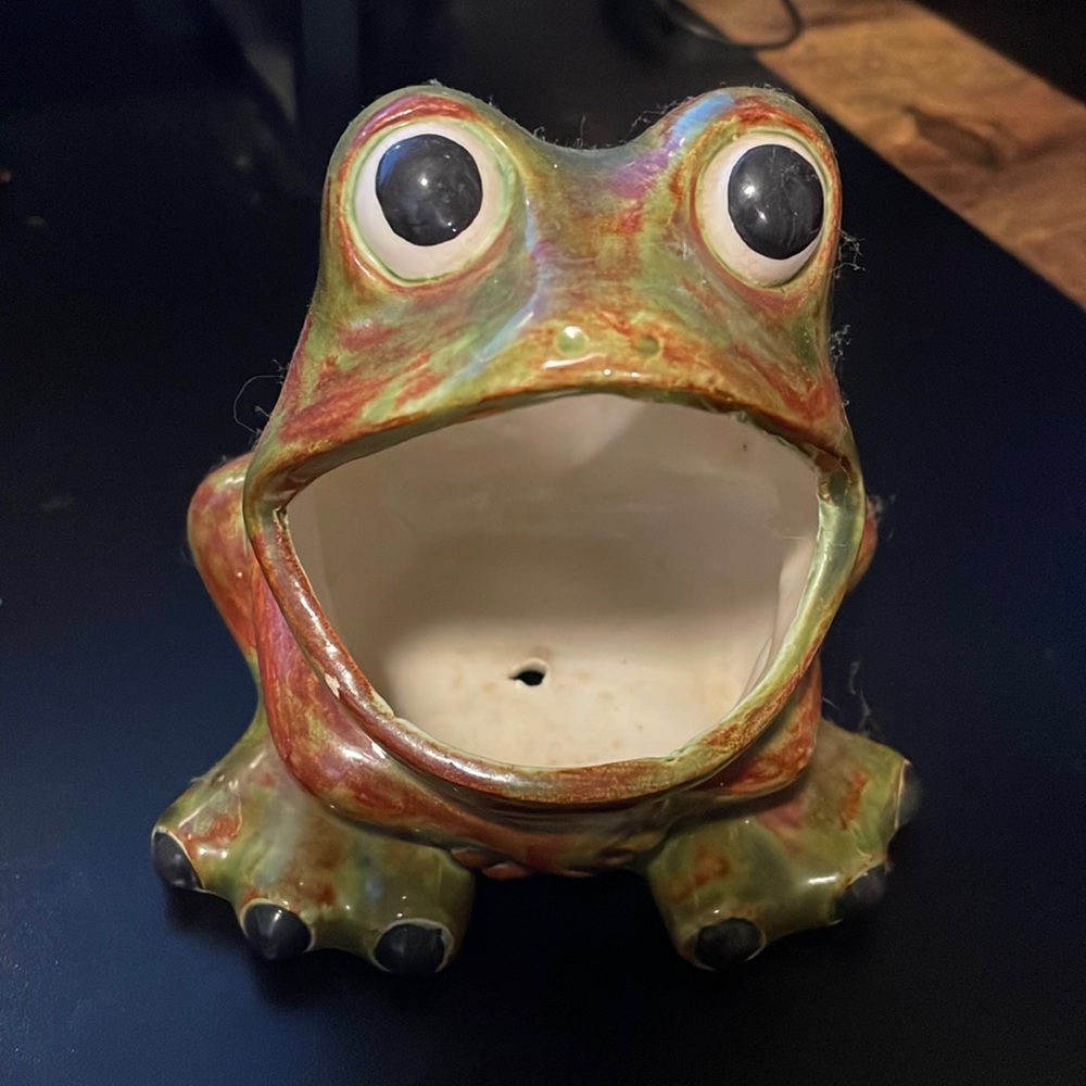 Vintage ceramic big mouth frog sponge holder kitchen scrub brush holder toad